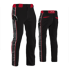 1042 FD Mens Ball Pants
