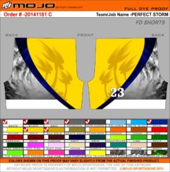 1319 FD Basketball Shorts