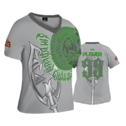 499 FD Womens V-Neck