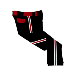 1734 SD MENS CUSTOM BRAIDED BALL PANT