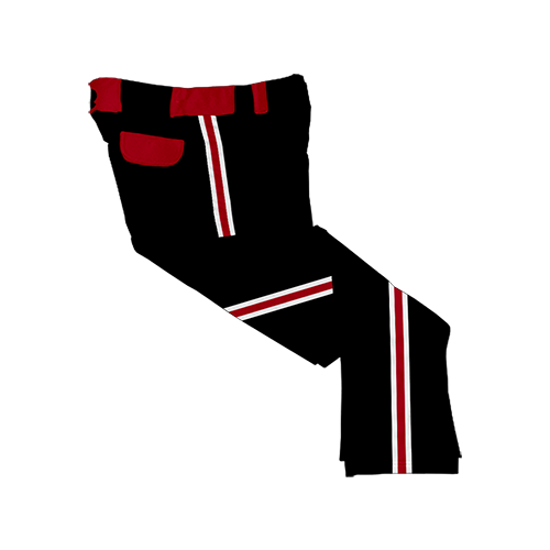 1734 SD MENS CUSTOM BRAIDED BALL PANT