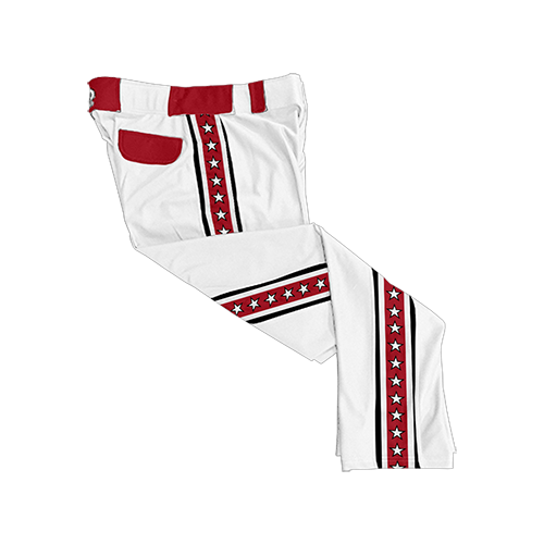 1738 SD MENS CUSTOM BRAIDED BALL PANT