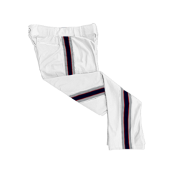 1795 SD MENS CUSTOM BRAIDED BALL PANT