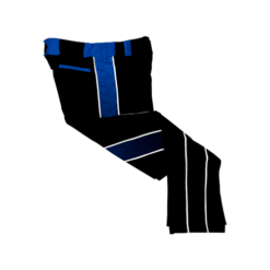 1774 SD MENS CUSTOM BRAIDED BALL PANT