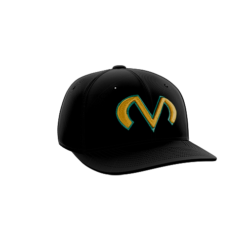 1891 Team Cap PTS30