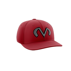1931 Team Cap PTS30