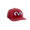 1971 Team Cap PTS30