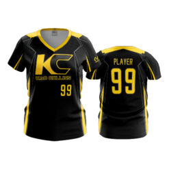 2012 FD Womens V-Neck