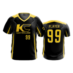 2012 FD Sport V-Neck MENS
