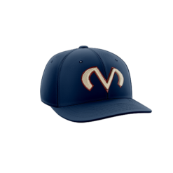 2031 Team Cap PTS30