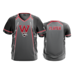 2071 FD Sport V-Neck MENS