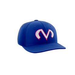 421 Team Cap PTS30