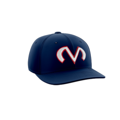 2056 Team Cap PTS30