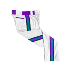 2068 SD MENS CUSTOM BRAIDED BALL PANT-FLO INK + $5