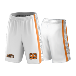 2024 FD Razor Shorts FLO INK