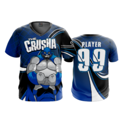 2093 FD Sport V-Neck MENS