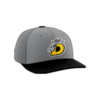 2124 Team Cap PTS30 DRAGONS-BASEBALL