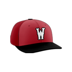 2131 Team Cap PTS30 WARRIORS