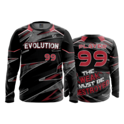  EVOLUTION