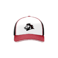 2197 Team Cap R172 GOULD-MUSTANGS