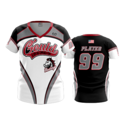 2197 FD Womens V-Neck GOULD-MUSTANGS