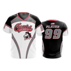 2197 FD Sport V-Neck MENS GOULD-MUSTANGS