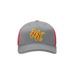 2179 Team Cap R172 MOST-HATED