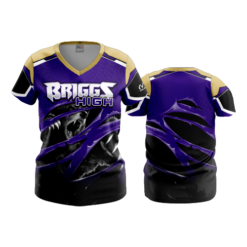 2191 FD Womens V-Neck BRIGGS-WRESTLING