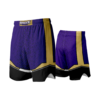 2191 FD Fight Shorts BRIGGS-WRESTLING