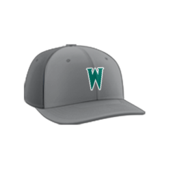 423 Team Cap PTS30 WOLVES