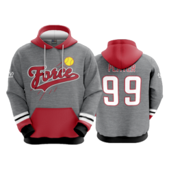 2216 FD Hoody FORCE-GREY