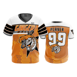 2192 FD Sport V-Neck MENS GINGERBALL