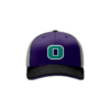 2214 Team Cap R172 OHANA-PURPLE-2019