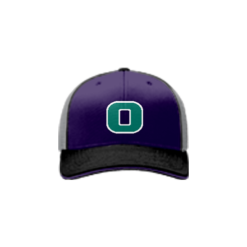 1675 Team Cap R172 OHANA-PURPLE-2019