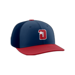 2201 Team Cap PTS30 DINGERS