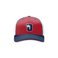 2201 Team Cap R172 DINGERS