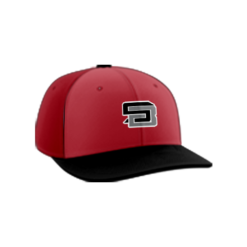 1786 Team Cap PTS30 SMASH-BROTHERS
