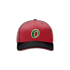 2199 Team Cap R172 OUTLAWS