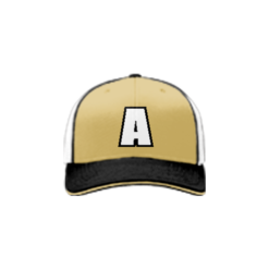 2168 Team Cap R172 DIRTY-APES