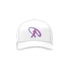 2222 Team Cap R172 DIRTY-STICKS-HAT-ADDONS
