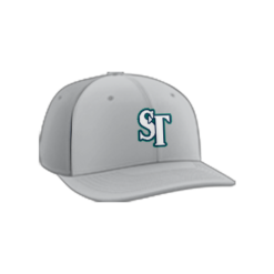 1466 Team Cap PTS30 STICK-TALK-NAVY
