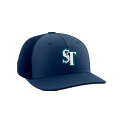 1466 Team Cap PTS30 STICK-TALK-TEAL