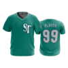 1466 FD Sport V-Neck MENS STICK-TALK-TEAL