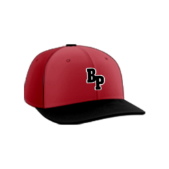 2254 Team Cap PTS30 BUNCHA-PITCHES