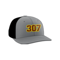 1727 Team Cap PTS30 307-MISFITS