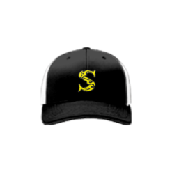 2265 Team Cap R172 SELE
