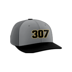 1727 Team Cap PTS30 307-MISFITS-GOLD
