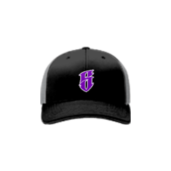 1457 Team Cap R172 QUIET-STORM-FLO-PURPLE-HAT