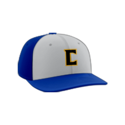 1092 Team Cap PTS30 WCH-COUGARS