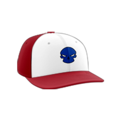 1354 Team Cap PTS30 RELOADED